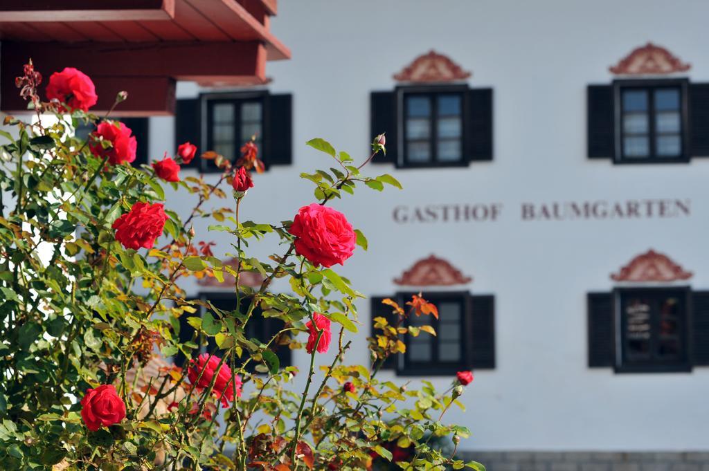 Hotel Baumgarten & Chalet Baumgarten Angerberg  Esterno foto